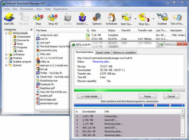 Internet download manager pc windows