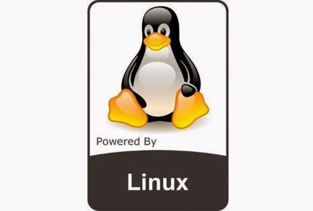 apa kernel linux
